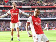 阿仙奴主场落败，球迷呼吁主帅改变