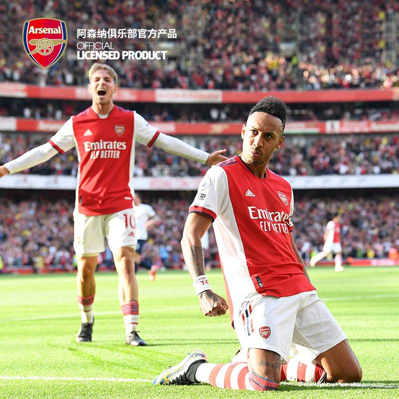 阿仙奴主场落败,球迷呼吁主帅改变